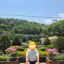 5월 성남 - 신구대학교 식물원 산책 후기