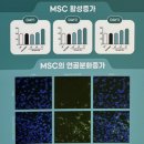 해빛6로 이미지