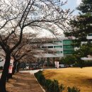 반송동248 이미지