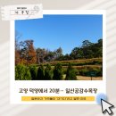 일산목장 이미지