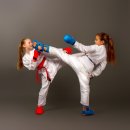 특사 태권도 이미지