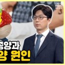 내몸N약손 이미지