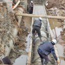 월송축산 이미지