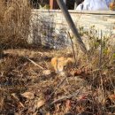 경상국립대학병원 기숙사 이미지