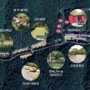 성수산 왕의숲 국민여가캠핑장 이미지