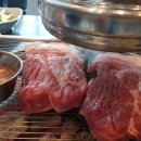 섬데이제주 이미지