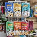 광주애견경매장 이미지