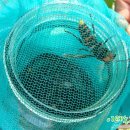 아침 이레 농장 이미지