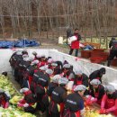 김천신용협동조합 이미지