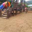 학림초교(병설) 이미지