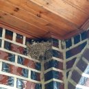 삼동면보건지소 이미지