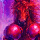 락복싱클럽 이미지