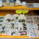 황해떡집 이미지