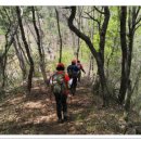 성사초등학교 이미지