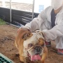 근남면사무소 이미지