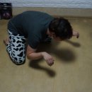 인스네어(ENSNARE) 이미지