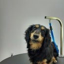 멍그라미 이미지