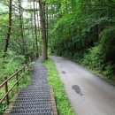 양지팬션 이미지