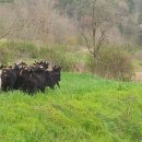 홍길동 농장 이미지