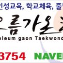 용오름 가온 태권도장 이미지