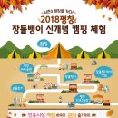 장돌뱅이 5일장 이미지