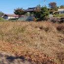 다향카센타 이미지