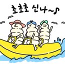 킹콩백화점 이미지