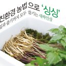 수인농장 네이버블로그