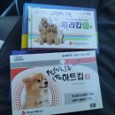 연산동물약국 | 연산트레이더스 약국 방문 후기!!