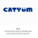 담다컴퍼니주 이미지