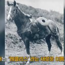 마녀! 프리티 더비! 무모한 영웅의 후계자! - 0화 이미지