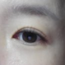 코미네일 | 영통 속눈썹 맛집 '솜이네' 롱데이래쉬펌 LED 연장 후기