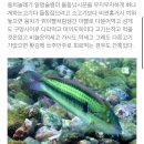 용치마을회관 | 경남 거제 낚시맛집 캠핑맛집 군령포항 후기