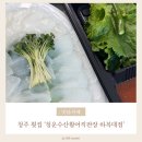 [청주/횟집] 청주 복대동 갑오징어회 맛있는 &#39;청운수산활어직판장 하복대점&#39;