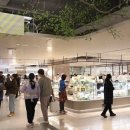 현대쇼핑 이미지