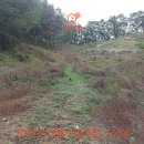 개구장이 이미지