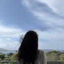 [일본/오키나와] DAY2(포타마/추라우미 수족관/블루씰/담보라멘/만좌모/류큐노우시)