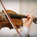 왕초보 바이올린 이미지