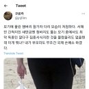 모기에 물린 잼버리 참가자 다리 모습이 처참하다...twt 이미지