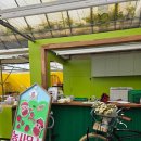 비슬로63길 이미지