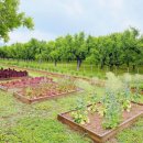 바람햇살농장 이미지