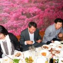 태백초등학교 이미지