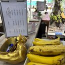 캘리포니아 피트니스 | 🏋️‍♀️ 호치민 헬스장 추천 ｜ 시티짐, 캘리포니아 피트니스, 스타 피트니스, 로컬 헬스장 비교 후기