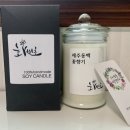 화비초네이처