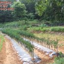 축현1리 경로당 이미지