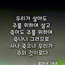한영카페