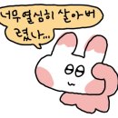 무림약국 이미지
