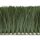 서면 실내게이트볼장 이미지