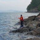 감생이민박 이미지