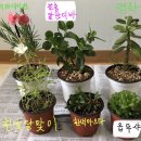 낮달 이미지